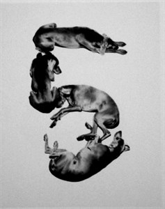 Image description is not available for 2001.034